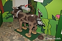 VBS_7235 - Mondo Babonzo